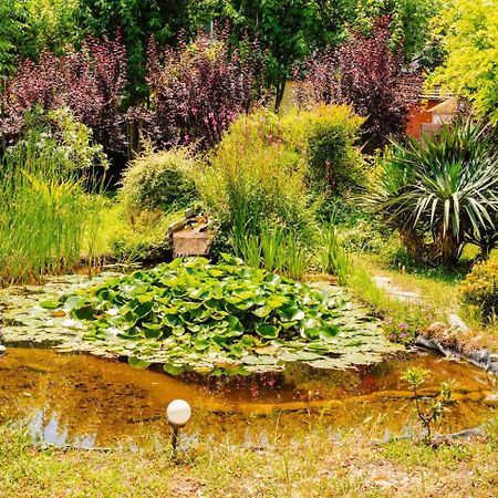 Bed and Breakfast Garden Loft Baricella Zewnętrze zdjęcie